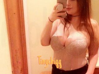 Tinychiqq