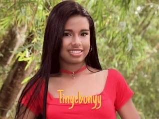 Tinyebonyy