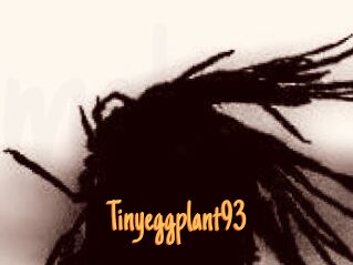 Tinyeggplant93