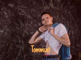 Tommcat