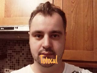 Totocul