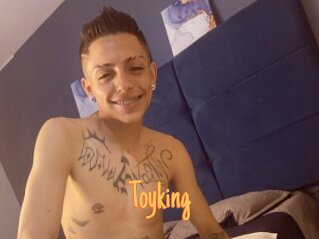 Toyking