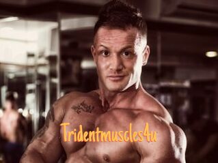 Tridentmuscles4u