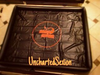 UnchartedSexion