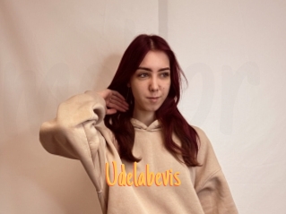 Udelabevis