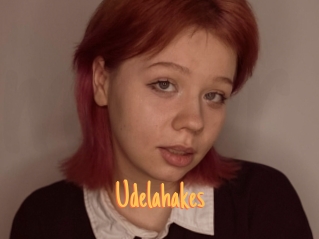 Udelahakes