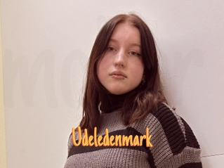 Udeledenmark