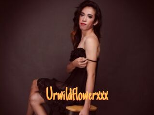 Urwildflowerxxx