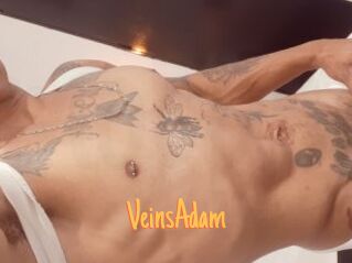 VeinsAdam Mobile Porno