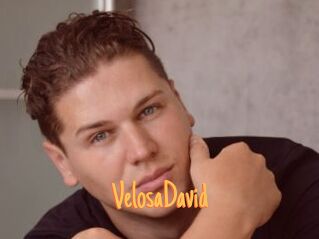 VelosaDavid