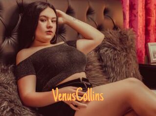 VenusCollins