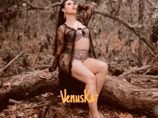 VenusKat