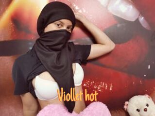 Viollet_hot