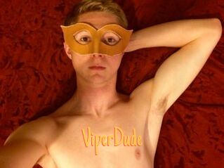 ViperDude