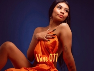 Vane_077