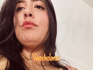 Vaneholmes