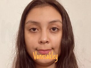 vanesakley Mobile Porno