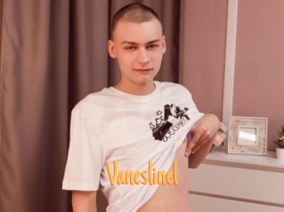 Vaneslinel