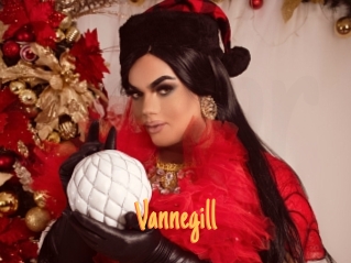 Vannegill