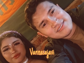 Vannesajavi