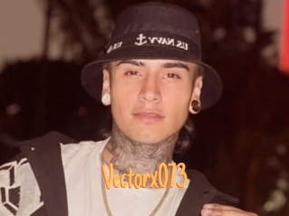 Vectorx073