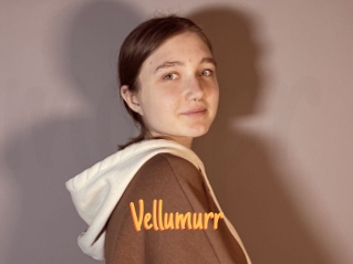 Vellumurr
