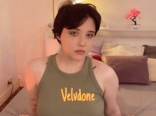 Velvdone