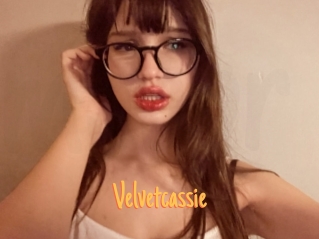 Velvetcassie