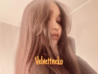 Velvettneko