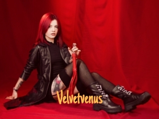 Velvetvenus