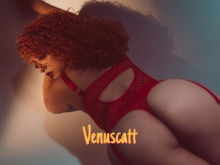 Venuscatt