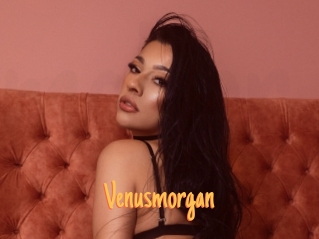 Venusmorgan