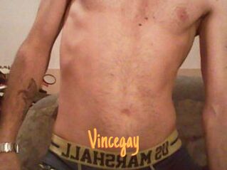 Vincegay