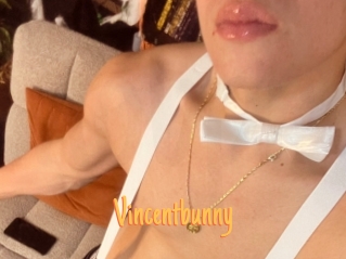 Vincentbunny