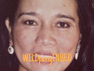 WILDpussyINBED
