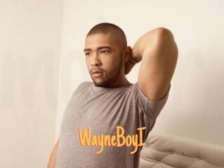 WayneBoyI