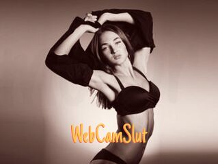 WebCamSlut