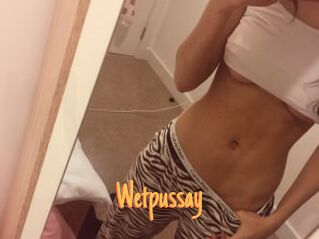 Wetpussay_ Mobile Porno