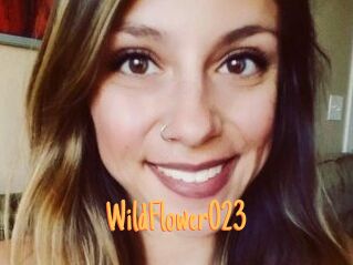 WildFlower023