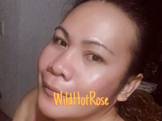 WildHotRose