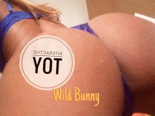 Wild_Bunny_