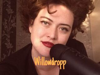 Willowdropp