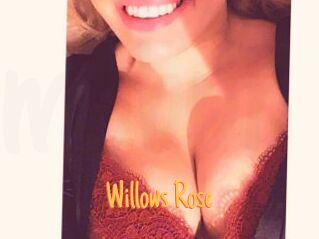 Willows_Rose