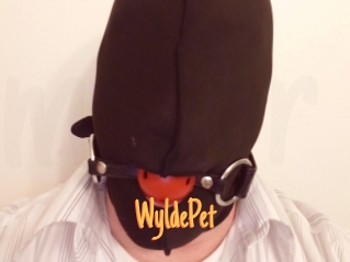 WyldePet Mobile Porno