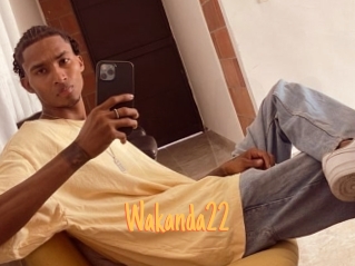 Wakanda22