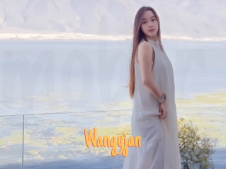 wangyjan Mobile Porno