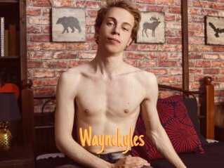 Waynekyles