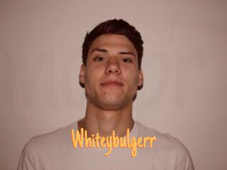 Whitey_bulgerr