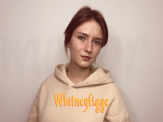 Whitneyfigge