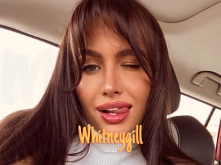 Whitneygill